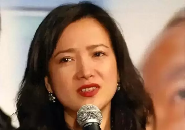 何晴完成四大名著女主角演绎后淡出演艺圈 | 情报图